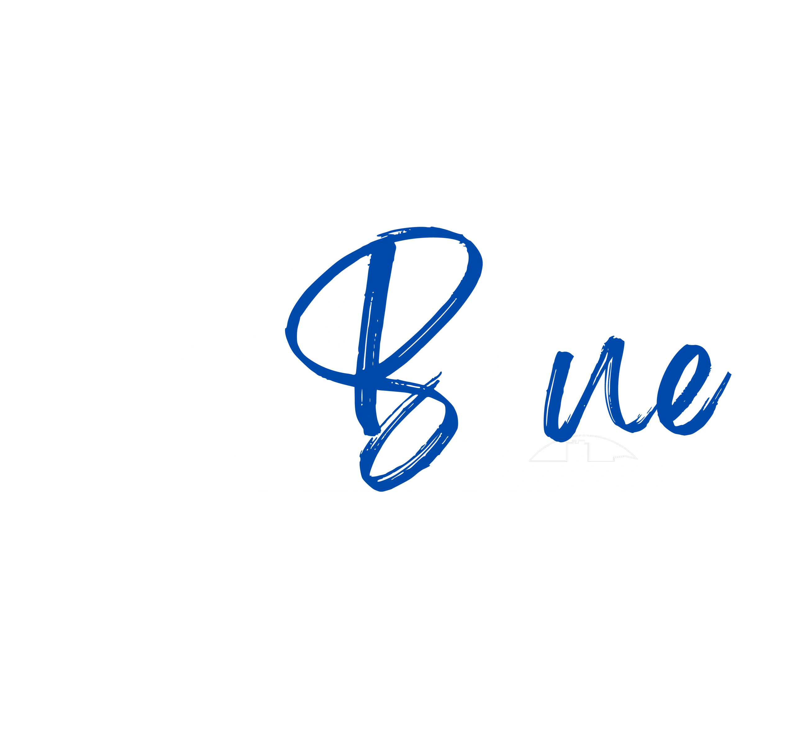 Home [codebluecleaning.ca]